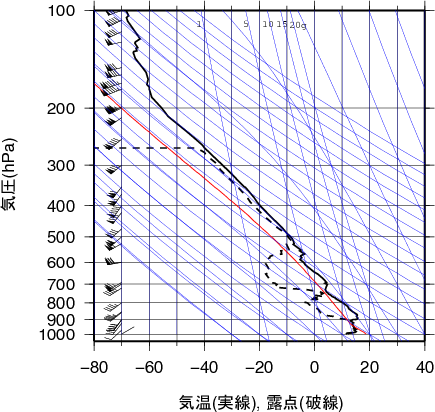 エマグラム画像