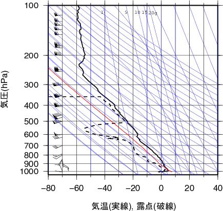 エマグラム画像