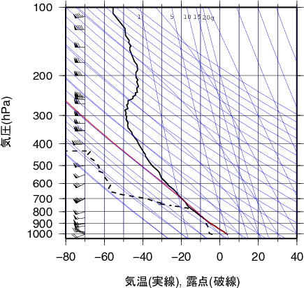 エマグラム画像