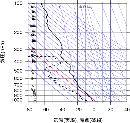 エマグラム画像