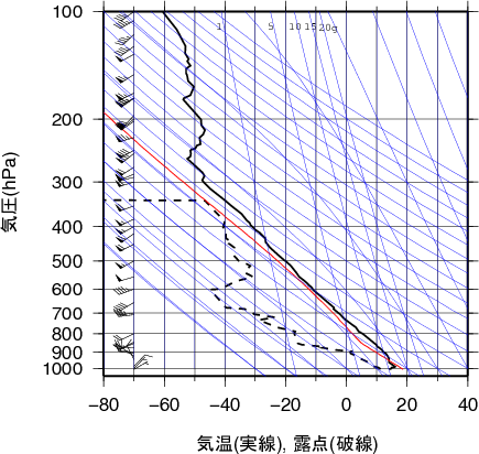 エマグラム画像