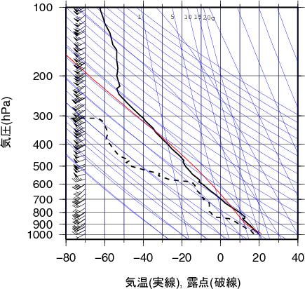 エマグラム画像