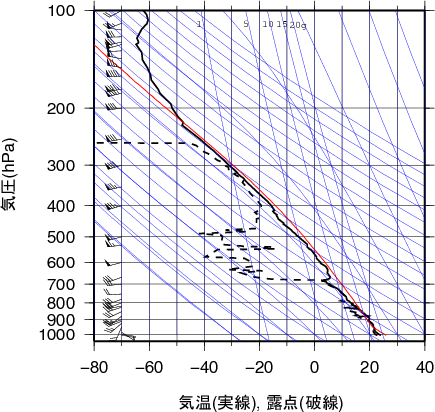 エマグラム画像