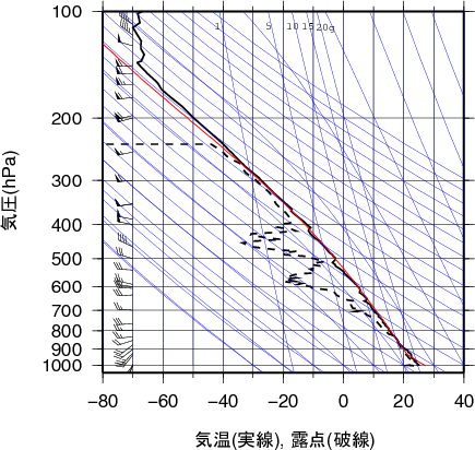 エマグラム画像