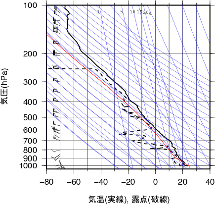 エマグラム画像