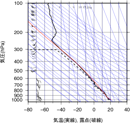 エマグラム画像