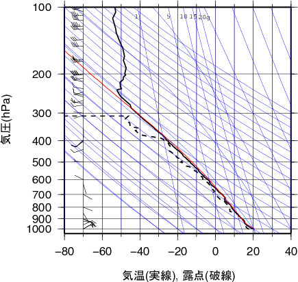 エマグラム画像