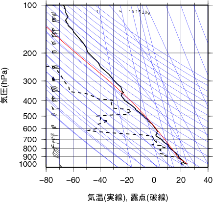 エマグラム画像