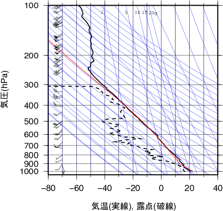 エマグラム画像