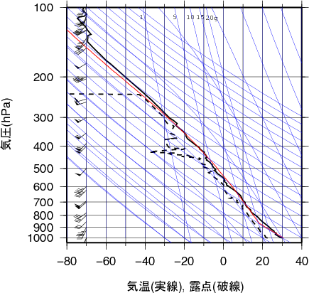 エマグラム画像