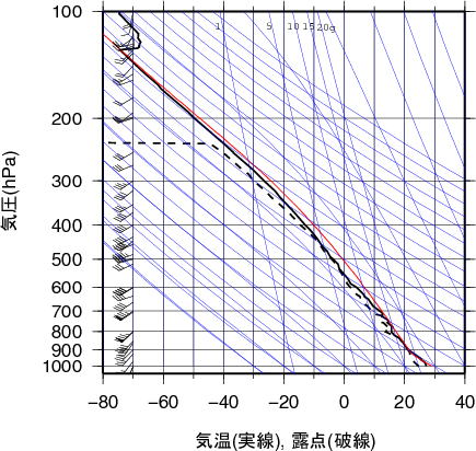 エマグラム画像