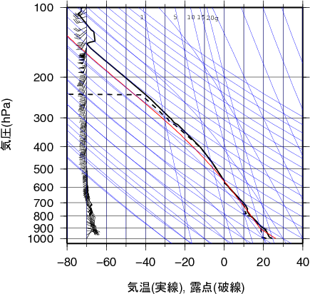 エマグラム画像