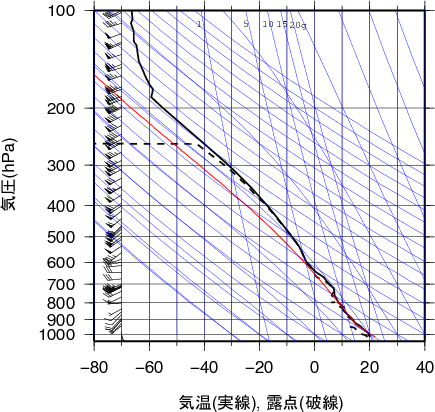 エマグラム画像