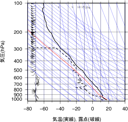 エマグラム画像