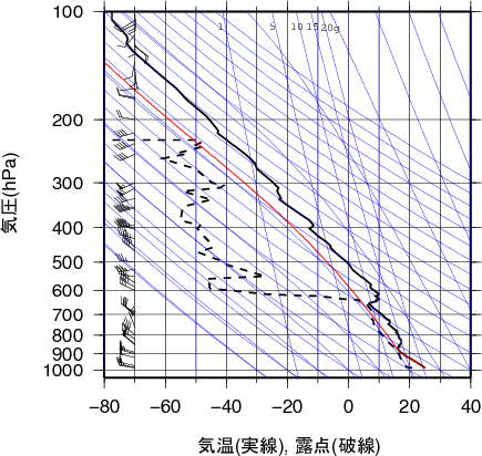 エマグラム画像