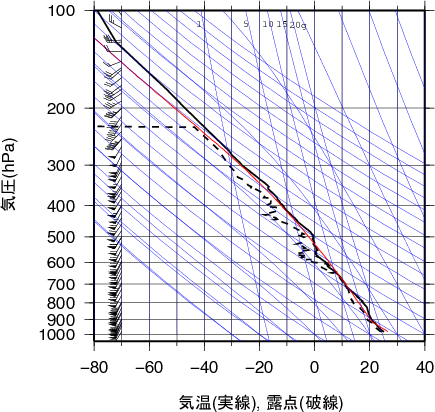 エマグラム画像