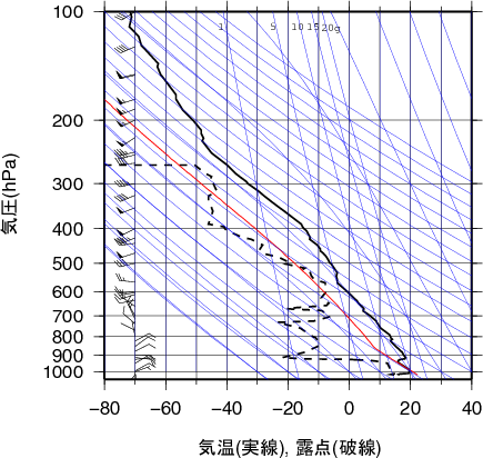 エマグラム画像