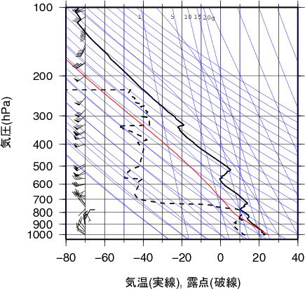 エマグラム画像