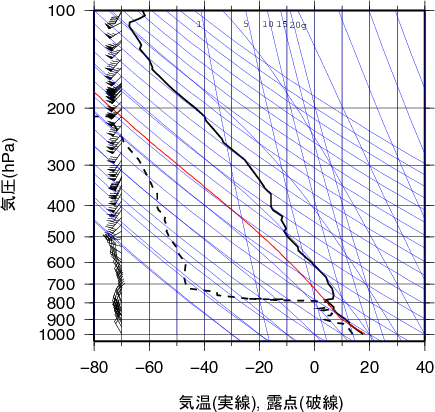 エマグラム画像