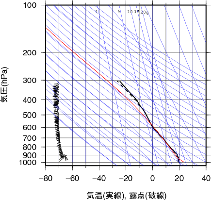 エマグラム画像