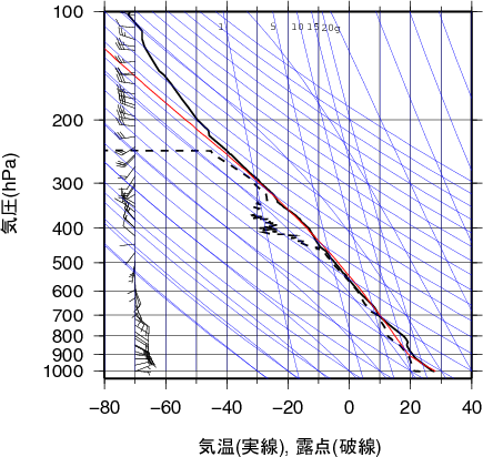 エマグラム画像