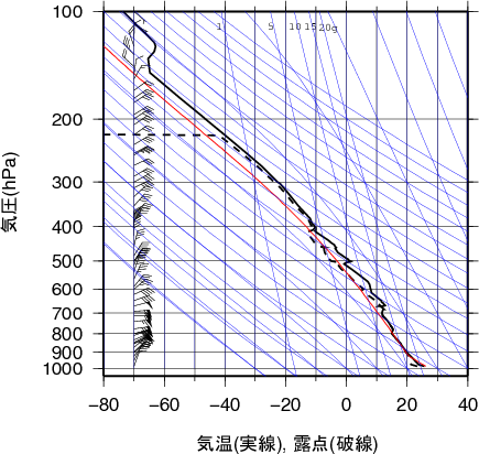 エマグラム画像