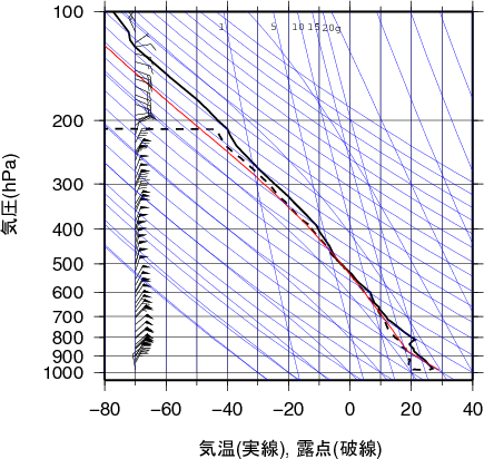 エマグラム画像