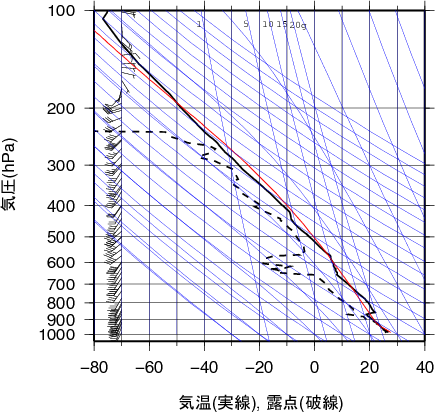 エマグラム画像