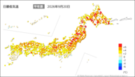 昨日の最低気温平年差の分布図