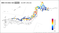 積雪の深さ（現在の値）平年比の分布図