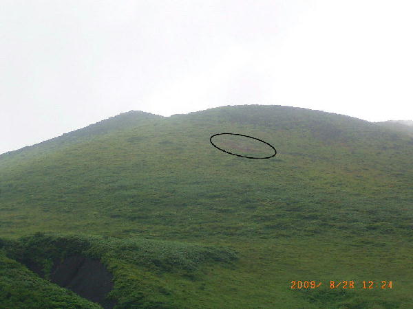 秋田駒ケ岳　女岳東北東斜面の植生の枯死域