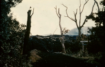 椎取神社の溶岩流
